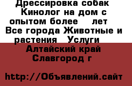 Дрессировка собак (Кинолог на дом с опытом более 10 лет) - Все города Животные и растения » Услуги   . Алтайский край,Славгород г.